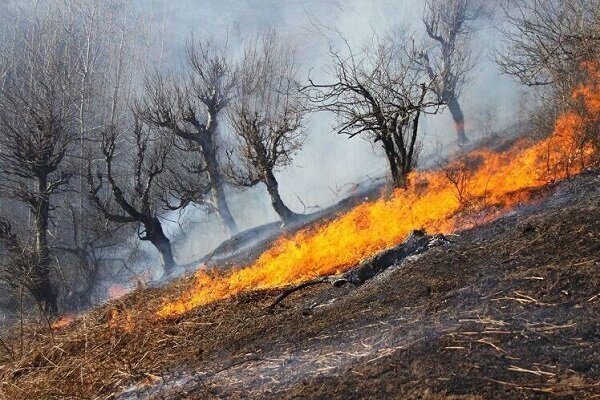 آتش‌سوزی سفیدکوه اطفاء شد - ایسنا