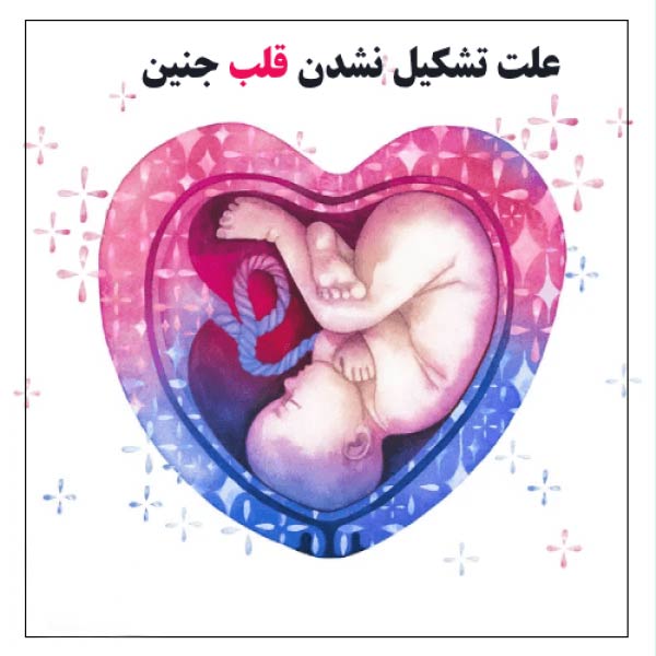 آیا استرس می تواند باعث دیر تشکیل شدن قلب جنین شود؟