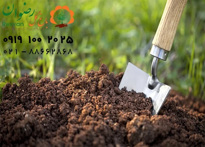 آپارتمان چرا آبیاری گیاهان آپارتمانی موقع سفر اینقدر مهمه؟ (و چرا نباید دست کمش بگیری!)
